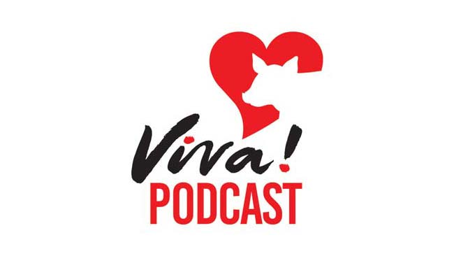 Viva! Podcast